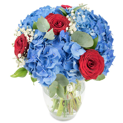 An expertly composed floral arrangement rests in a simple, transparent vase, the whole scene set against a clean white background that showcases colour and texture without distraction. The bouquet is anchored by abundant, voluminous blue hydrangeas - each cluster comprised of many tiny petals that together form a soft, pillow-like sphere. These vivid sky-blue heads create a generous, almost architectural volume that feels both plush and breezy. Contrasting this cool mass are three intensely coloured red roses, their petals tightly furled in classic spirals and placed so their velvety faces offer focal points of passion within the composition. Scattered among the larger blooms are delicate clouds of white baby's breath, which lend an ethereal, twinkling quality and a lightness of line. Soft, oval eucalyptus leaves and fresh green stems introduce muted sage and bright green notes, their matte surfaces and rounded shapes bringing balance and a subtle aromatic whisper when the bouquet is handled. The clear glass vase, gently curving from base to neck, reveals stems in water and speaks to freshness and careful floral craftsmanship. The lighting is bright and natural, accentuating colour saturation and the tactile contrast between silky rose petals and papery hydrangea florets. As a local florist in Epping I sometimes prepare this style for market stalls on the High Street or as an elegant gift for celebrations; at Flowers Epping we imagine it brightening a dining table or arriving as a thoughtful token for anniversaries, birthdays, or patriotic community events near the station.