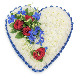 This image shows a large, heart-shaped funeral flower tribute laid flat against a pale, uncluttered background, allowing every detail of the design to stand out clearly. The body of the heart is densely covered with pristine white chrysanthemums, each small bloom freshly opened and neatly placed so that no gaps appear, creating a soft, quilted texture reminiscent of a pure white blanket. Encircling the heart, a royal blue satin ribbon has been meticulously pleated and ruffled, the fabric folding gently as it curves around each contour. Its deep blue tone and gentle shine lend the tribute a sense of ceremony and quiet elegance, not unlike the respectful calm often felt along the streets leading to Epping Forest on a still morning. Toward the upper left, a rich floral spray forms the focal point: three deep red roses, fully open and velvety, are cradled by glossy, dark green leaves. These roses, symbolic of profound love and honour, are intertwined with vivid blue dendrobium orchids, their slender, star-like petals glowing with electric blue and hints of purple. Wisps of light green curly foliage weave through the blooms, softening the lines and adding movement, as if the flowers are gently cascading across the white chrysanthemum base. On the lower right curve of the heart, a solitary red rose is set apart, accompanied by just a hint of greenery, creating a tender, understated balance. This thoughtfully crafted arrangement feels like a deeply personal farewell piece, the kind a family in Epping might have delivered for a funeral or wake, expressing sympathy, remembrance, and unwavering love through colour, texture, and careful design.