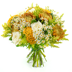 Displayed upright against a pure white backdrop, this hand-tied bouquet captures the feeling of walking through an Epping lane in late summer, when the air is warm and the hedgerows are still full of colour. Dominating the arrangement, several large chrysanthemums unfurl in layers of deep amber, golden yellow, and soft copper, their spiky, tightly packed petals creating almost firework-like bursts of texture. Nestled between them are creamy white roses, each bloom spiralling inward with classic grace, the petals smooth, velvety, and softly luminous against the richer autumnal shades surrounding them. Winding through the design are distinctive celosia flowers in vivid yellow-orange; their plush, ridged surfaces and coral-style forms add a sculptural, tactile interest that draws the eye. Scattered generously throughout, tiny white daisy-style flowers, reminiscent of chamomile or matricaria, bring a sense of lightness and air, their bright yellow centres echoing the warmth of the larger blooms. An abundance of lime-green solidago and fresh foliage weaves around the flowers, giving a feathery, meadow-like quality that feels relaxed yet thoughtfully composed. The stems are gathered neatly and bound with green florist's tape, emphasising that this is a professional hand-tied piece ready to drop into a favourite jug or vase on a kitchen table in Epping or near the High Street. The bouquet's overall impression is one of gentle optimism and comforting warmth, ideal for cheering a friend, marking a birthday, or simply bringing the glow of early autumn indoors while still feeling fresh, natural, and effortlessly elegant.