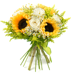 A bright, joyful bouquet is photographed against a clean white backdrop, capturing the essence of a sunny day wandering near Epping Forest. Three large sunflowers form the warm, glowing core of the arrangement, each with a deep, textured brown centre framed by a halo of golden-yellow petals that radiate outward like small suns. Nestled among them are several creamy white roses, their petals tightly layered in elegant spirals that soften the composition with a touch of classic romance. Scattered throughout, petite white daisy-style blooms, reminiscent of chamomile or feverfew, bring a light, whimsical charm, their tiny yellow centres echoing the sunflowers in miniature. All around, feathery plumes of bright chartreuse greenery-similar to solidago-thread through the bouquet, creating a cloud of fresh green that makes the yellows and whites glow even more intensely. The stems are gathered together in a traditional hand-tied style, their natural length left visible and bound neatly with a lime-green fabric ribbon that coordinates with the foliage and hangs softly at the base. The high-key lighting casts almost no shadow, so every bloom and leaf is clearly defined, making the bouquet appear freshly arranged in a local Epping flower shop just off the High Street. The mood is light-hearted and uplifting, ideal for a congratulatory gift for someone moving into a new home near Ivy Chimneys, a cheerful get-well wish, or a centrepiece for a relaxed summer get-together in a garden backing onto the forest.