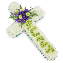 A serene floral cross tribute is shown in full, resting on a white backdrop so that every detail of the flowers can be clearly seen. The entire shape of the cross, from the shorter arms to the long central stem, is densely cushioned with pure white spray chrysanthemums, each tiny petal contributing to a soft, quilted effect that suggests purity, peace, and a quiet farewell. Along the outer edge runs a neat band of vivid green, created either by a smooth ribbon or tightly tucked foliage, which crisply frames the cross and gently separates it from the background. At the central meeting point of the cross, a beautiful arrangement of accent flowers draws the eye. Several deep purple lisianthus blossoms, their petals velvety and gently ruffled, are gathered together with small lime green button chrysanthemums, whose fresh colour echoes the new leaves seen around Epping in spring. Behind and around these blooms, graceful fronds of dark green fern extend outward, adding depth, movement, and a natural woodland texture. Running down the vertical arm of the cross, a panel of lime green flowers is carefully threaded through the white, forming a subtle decorative stripe. Over this, fine pale wires are laid in a loose criss-cross pattern, like a delicate net or lattice, adding refinement without overpowering the composition. The mood of the arrangement is contemplative and respectful, ideal as a Christian funeral tribute for services at local chapels or crematoriums near Epping, expressing sympathy, remembrance, and gentle hope through its calm blend of white, green, and purple tones.