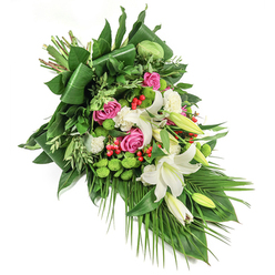 Imagine a diagonal cascade of fresh flowers, lovingly arranged by Epping's skilled florists, flowing across a brilliant white canvas. The arrangement blends immaculate white lilies-some unfurling their elegant petals, others delicately in bud-signifying both purity and the promise of hope. Deep pink roses, each swirling with layered petals, nestle closely among the lilies, mingling warmth and gentle remembrance. Ruffled white spray carnations lend soft texture, their subtle form catching the light and drawing the eye. Accentuating these classic blooms are lively pods of green santini chrysanthemums, reminiscent of the lush nature bordering Epping High Street, while clusters of vivid red hypericum berries provide pockets of cheerful colour. The abundant foliage, featuring broad, glossy leaves-some artistically folded edgewise-creates a dramatic, structured background that echoes the wild yet ordered feel of the local countryside. Palm-like fronds trail gracefully downward, guiding your gaze along the spray's natural flow. The overall effect evokes a sense of admiration and tranquility, perfect as a tribute for a funeral or memorial in Epping. Under soft natural light, the bouquet's palette-cool whites, gentle pinks, lively greens, and vivid reds-forms a tapestry of comfort, expressing condolences and shared memories far more eloquently than words alone.
