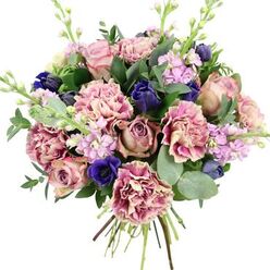 This hand-tied bouquet appears almost like a painter's study in pinks, purples, and blues, captured against a clear white background so every petal stands out. At its core, generous garden roses in soft blush, warm dusty rose, and muted mauve spiral open, their layered petals suggesting quiet, timeless romance. Around them, plush carnations offer intricate texture, their creamy centres washing out to blush and then deepening to fuchsia or plum along the ruffled edges, much like a sunset sky over Epping Forest. Deep indigo blooms, some still in tight, tulip-like buds and one fully open royal blue anemone with a dark, velvety centre, punctuate the design with bold, cool contrast. Rising between these richer tones, slender stems of lilac and pale lavender stock create a lightness, their many small flowers forming soft columns that draw the eye upward. The bouquet is framed by abundant greenery: rounded, silvery eucalyptus leaves catch the light with a soft sheen, while darker, elongated foliage gives depth and structure, much as the mature trees do along the lanes near Epping station. Neatly gathered stems at the base show the craftsmanship of a florist who has balanced colour, height, and texture with care. One can imagine a gentle, sweet fragrance of roses and stock mingling with the crisp scent of eucalyptus, making this an ideal arrangement to brighten a dining table in a High Street townhouse, offer heartfelt congratulations, or bring comfort and beauty to a loved one in Epping.