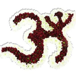 This intricately formed floral Om symbol is arranged on a pristine white field so every line of the Sanskrit character reads with clarity and calm. The main body is a dense mass of small, chrysanthemum-like blooms in a warm, deep red-maroon edging toward burgundy-each flower punctuated by a small lime-green eye that brings a subtle, botanical liveliness to the dark surface. Encircling and defining the inner loops is a generous ribbon of snowy white spray chrysanthemums, their tiny petals creating a bright, undulating border that lifts the symbol's curves from the background and emphasizes the familiar '3' curve, the descending curved stroke, and the delicate wavy mark above. A soft shadow beneath the sculpture hints at its dimension and gives the impression of a piece crafted to be placed on a ceremonial table, perhaps for a puja or a community meditation gathering. The texture is lush and dense-petals layered like fabric, cool to the touch, with a faint, grounding scent reminiscent of late-summer gardens and fresh-cut stems. As someone who arranges flowers for events around Epping Market and small halls near St. John's Road, I read this as both devotional art and floral tribute: respectful, richly tactile, and composed to invite quiet reflection. Its balance of deep red and pure white carries feelings of solemnity and gentle hope, suitable for memorials, cultural celebrations, or a contemplative centrepiece at a yoga or meditation event.