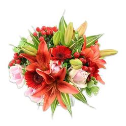 Framed by a pristine white background, this vibrant, densely arranged bouquet reads like an artist's study in warm colour and floral form-an arrangement prepared with local care by Flowers Epping for customers across Epping and nearby villages. Towering Asiatic lilies in an intense orange-red dominate the centre, their broad petals recurved and speckled, some fully open to reveal dark anthers, others still in tight buds that promise gradual drama. Scattered among them are deep crimson Gerbera daisies, their many slender rays and dark central disks creating graphic focal points, while soft blush-pink roses soften the composition, their layered petals catching a diffused, soft light. Glossy red hypericum berries are interwoven as bright, festive accents that contrast against the bloom surfaces, adding jewel-like luster and textural variety. The greenery is generous and thoughtfully chosen: broad, solid green leaves provide depth, and variegated foliage with pale veins lifts the palette and offers a subtle shimmer. Tactile details abound-silken rose petals, the slightly papery touch of lily petals, the cool smoothness of berry skins and the crispness of fresh foliage-paired with a gentle scent profile that is sweet with a hint of spice from the lilies. The bouquet's full, rounded silhouette and meticulous placement of elements reflect the hands-on experience of a neighbourhood florist familiar with Epping High Street and deliveries to homes near Epping Station and the edge of Epping Forest. It reads as an intimate, joyful gift for milestone moments or as a thoughtful centerpiece to uplift a room.