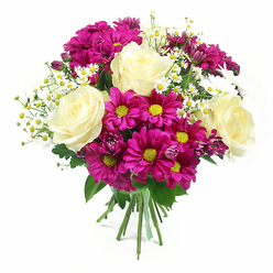 A lush, rounded bouquet of mixed flowers is displayed against a clean, bright white backdrop, allowing every bloom to stand out with clarity. In the heart of the design, several large roses in a creamy ivory shade, gently washed with pale yellow, are caught at full bloom, their soft, velvety petals curling in elegant spirals that draw the eye inward. Surrounding them, a lively ring of fuchsia and magenta chrysanthemums forms the main body of the bouquet; each flower head is packed with slim petals radiating from a vivid yellow-green centre, creating a joyful contrast that feels as uplifting as a walk along Epping High Street on a sunny day. Delicate clusters of tiny white daisies, similar to chamomile or matricaria, are woven between the larger flowers, their miniature white petals and warm yellow centres bringing a touch of meadow-like lightness, reminiscent of wild patches near Epping Forest. The greenery is rich and varied, with glossy rose leaves and more textured chrysanthemum foliage adding depth, shadow, and a sense of natural movement. All the stems are neatly aligned at the base, bound tightly with a charming green and white checked ribbon, which reinforces the bouquet's hand-crafted, thoughtful character. The even lighting in the image highlights the freshness of the petals and the subtle colour variations, from the creamy softness of the roses to the intense magenta mums. This arrangement feels perfect for everyday celebrations, from a thoughtful thank-you to a bright pick-me-up delivered to homes and offices across Epping and the surrounding villages.