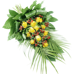 A refined, teardrop-shaped funeral spray of yellow roses and red berries is photographed on a pure white background, highlighting the elegance of every stem. The eye is drawn first to the generous sweep of golden yellow roses that runs diagonally through the design, from the clustered, tightly bound stems at the top left down towards the softer, more open area at the lower right. Each rose seems carefully chosen, some still in bud with petals just beginning to part, others fully open and cupped, showcasing delicate, velvety layers that suggest warmth and affection. Threaded throughout are multiple sprays of small, spherical red Hypericum berries, their rich colour and polished texture adding both visual rhythm and a quiet sense of richness. Supporting the flowers is a carefully constructed base of greenery: large, dark green leaves are folded, layered, and wrapped to form a solid, sculpted foundation that feels both modern and timeless, much like the thoughtful tributes often created for services near Epping Forest or the surrounding villages. From the bottom right, slender palm-style fronds arc outward, their elongated, pointed tips giving the spray a sense of flow and direction, as though gently pointing the way forward. The clean white backdrop ensures the contrast between the yellow, red, and green tones is crisp and striking. Designed to lie flat, this spray balances strength and softness, making it especially suited to moments of farewell when families across Epping seek flowers that speak quietly of gratitude, friendship, and enduring love without overwhelming the solemnity of the occasion.