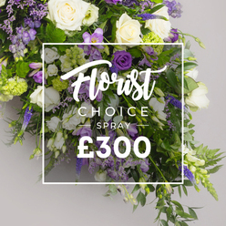From a quiet studio on the edge of Epping's market street, this Florist Choice Spray emerges as a deliberate expression of sympathy and memory. The heart of the arrangement is a cluster of ivory white roses, their petals soft as candlelight, surrounded by pure white lisianthus and the delicate bells of freesia. The purples ripple through the piece, with deep lisianthus providing gravity and lavender eustoma offering gentleness, while pale purple freesia whisper of hope. The greens keep the arrangement lively yet restrained: viburnum, ferns, and glossy leaves breathe, forming a lush frame that never overwhelms the blooms. The design breathes a calm, reverent tempo, arranged to rest gracefully on a floral stand or lay open on a church catafalque as a funeral spray. A white overlay, slightly translucent, carries the words Florist CHOICE SPRAY and the price ?300, a straightforward marker of a premium, bespoke option. This image speaks to families in the Epping area who seek a heartfelt gesture that balances dignity with beauty, a tribute that can be delivered to a home, a funeral home, or a church with Flowers Epping. The craftsmanship is evident in the careful spacing, the way each bloom allows the others room to be seen, the subtle shading that evokes twilight and memory. Even in its restrained palette, the piece radiates warmth, a reminder that care endures beyond loss. It is not just flowers; it is a quiet ritual, a way to offer grace, condolence, and support from a local, trusted florist serving Epping and nearby towns with fresh, timely delivery.