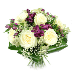 Set against a clean white backdrop, this elegant hand-tied bouquet appears as if it has just been lifted from the workbench of an experienced Epping florist. At its heart, generous creamy white roses open in full, layered spirals, each petal soft and velvety, gently cupping the light. Around and between these central blooms, rich purple and magenta alstroemeria add a vivid contrast, their trumpet-like petals fanning out gracefully and showing delicate markings that hint at their Peruvian lily heritage. Some of these purple flowers are fully open and expressive, while others remain in budding stages, suggesting a bouquet that will continue to unfold over the coming days. Wisps of white baby's breath curl in and out of the main flowers, forming a delicate halo of tiny blossoms that soften the transitions between cream and purple. Mixed among them, greenish-white astrantia heads, with their star-shaped bracts and clustered centres, lend a gently wild, garden-picked energy, reminiscent of a walk along the edges of Epping Forest or through local gardens near the High Road. The whole arrangement is framed by broad, dark green aspidistra leaves, neatly folded and curved to create a polished collar, their glossy surfaces catching small highlights from the studio lighting. Beneath the foliage, the stems are gathered tightly in a traditional hand-tied finish, the cut ends aligned and pointing downward. The bouquet feels calm and luxurious, perfectly suited for same-day delivery across Epping as a refined thank-you, a romantic gesture, or a comforting arrangement for quiet moments of remembrance.