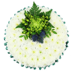 From a bird's-eye view, this elegant circular funeral tribute appears like a pure white cloud, composed almost entirely of densely packed chrysanthemum heads. Each small bloom is tightly nestled against the next, forming an impeccably even cushion of velvety petals, their faint greenish centres hinting at life beneath the surface of calm white. A rich emerald satin ribbon curves around the outer edge, folded into rhythmic pleats that give the piece a tailored, formal finish, much like a carefully pressed collar on a favourite coat. Slightly above the centre of the cushion, a vivid cluster of green and blue elements draws the eye. A lime-green spider chrysanthemum, with slender, curling petals, radiates energy and renewal, while glossy Hypericum berries in bright green punctuate the arrangement like tiny beads of dew. Deep green ferns and foliage weave in and out, creating shadows and texture. Among this foliage, two proud Scottish thistles, coloured in dusty indigo blue, rise with distinctive, spiky heads that bring both structure and symbolic meaning, perhaps honouring a family's Scottish heritage. The palette of cool whites, fresh greens, and muted blues creates a soothing, tranquil mood, suggestive of a quiet farewell at an Epping chapel or cemetery. Crafted with care by local florists who understand the sensitivities of bereavement, this cushion-style tribute would make a serene and meaningful floral accompaniment to a memorial service, offering comfort and a sense of natural beauty to grieving families throughout the Epping area.
