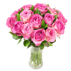 A radiant, tightly clustered bouquet of about twenty-four pink roses sits in a transparent glass vase, the flowers photographed on a brilliant white background so every shade and curve is visible. Each rose reveals a delicate colour gradient-deep magenta or fuchsia at the densely coiled centres, softening to warm blush tones and occasionally a pale cream at the outer petal edges-creating a gentle, natural ombré across the dome-shaped arrangement. The blooms are arranged with intentional proximity, forming a plush, rounded top pierced here and there by broad, velvety green leaves that enrich the composition with texture and visual grounding. The clear vase, narrowing mid-body then flaring slightly toward the rim and base, exposes the clean-cut stems and clear water, suggesting freshness and careful handling by a florist's hand. Under even studio light the petals pick up soft highlights along their satin surfaces, inviting the imagined touch of velvety petals and the faint, sweet fragrance of newly cut roses. This bouquet communicates joyful romance and considered craft-a fitting choice for birthdays, anniversaries, or as a surprise to brighten a flat near the High Street or a cottage on Station Road in and around Epping. The image speaks to the pleasures of giving: beauty that feels cultivated, immediate, and sincerely meant, rooted in local floral knowledge and the simple luxury of garden-fresh roses.