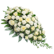 A refined, elongated funeral floral spray in shades of white and soft ivory stretches diagonally across a bright white background, forming a gentle crescent that is noticeably fuller at the top left and gradually narrows toward a delicate tip on the bottom right. The design is filled with a profusion of roses in pure white and cream, some in neat buds, others half-open, and many in full bloom, their layers of velvety petals unfolding in intricate spirals that create depth and shadow. Interspersed between these central blooms are small clusters of frilled white carnations, adding a soft, ruffled texture that contrasts tenderly with the smoother rose petals. Beneath and around the flowers, a bed of rich green foliage provides structure and balance: broad, dark leaves anchor the composition, while muted, silvery-green eucalyptus leaves introduce a subtle, soothing coolness. Thin, arching strands of ruscus and other fine greenery trail from the tapered end of the spray, enhancing the tear-drop silhouette and giving the arrangement a natural, flowing movement. The overall lighting is clean and even, bringing out every nuance of white and cream without harshness, and keeping the focus entirely on the flowers' quiet beauty. The mood is one of calm reverence and heartfelt sympathy, perfectly suited to accompany a casket, rest beside a photograph, or stand near the altar during a service in Epping or nearby villages. It feels like a carefully crafted farewell, the type of elegant sympathy arrangement often prepared for local families seeking to express love, remembrance, and peace at a funeral or memorial gathering.