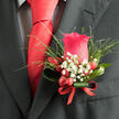This image shows a carefully crafted boutonniere pinned to a dark charcoal suit, the sort you might see at a wedding in one of Epping's country hotels or registry offices. At its core is a single, perfectly shaped red rose, petals layered in tight, velvety spirals that glow with a deep, romantic tone. The rose feels timeless, yet the design around it adds a refined, contemporary twist. Sprays of baby's breath cluster delicately at the edges, each tiny white bloom lightening the composition, like small puffs of cloud drifting around the bold centre. Glossy red berries nestle near the base, offering a subtle, jewel-like sparkle when they catch the light-festive, but still tastefully understated. Slim green leaves and wispy, free-spirited foliage reach outward, giving the piece movement and a touch of wild, garden charm, as if inspired by walks through the greenery around Epping and Coopersale. The stems are wrapped in a crisp red ribbon, tied with precision so the finish feels smart and intentional, mirroring the polished knot of the scarlet tie above. The overall mood is dignified yet warm, a quiet expression of strength, romance, and readiness for celebration. In the gentle daylight, every texture is visible: the softness of the petals, the feathery baby's breath, the firm shine of the berries, and the smooth fabric of the suit. It comes across as more than an accessory; it is a floral statement that marks the wearer as someone stepping into an important chapter of life with style and grace.