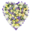 A tender, heart-shaped floral tribute captured against a clean white studio background, densely packed with soft, comforting pastel blooms. The heart's outline is neatly finished with a rich purple satin ribbon folded into a continuous loop, giving the design a clear, refined edge. Inside the shape, tightly furled cream and pale yellow roses sit alongside lush white carnations whose ruffled petals create a cloud-like texture; some roses show the faintest hint of green at their centres, adding natural depth. Scattered through the massed flowers are airy sprays of lavender statice and small daisy-like purple asters with bright yellow centres, which act as playful, vivid notes amid the calmer creams and whites. Rounded, blue-green eucalyptus leaves are slipped artfully between the heads, their silvery sheen and neat rounded forms punctuating the composition and suggesting a soft, herbal scent. The overall effect is one of composed serenity: soft petals, cool greens, and gentle contrasts designed to convey remembrance and solace. In soft studio light each petal catches a subtle highlight, enhancing the tactile impression of velvet and satin. This piece reads as a respectful memorial design for funerals, wakes, or graveside services, a dignified expression of love and sympathy that would feel familiar to residents of Epping - a quiet tribute you might commission from a local shop near the High Street or after a walk through Epping Forest. The craftsmanship is deliberate and measured, an enduring heart that honours memory with simple, elegant floristry.