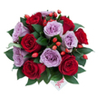 A tightly gathered, dome-shaped bouquet sits against a clean white backdrop, its slightly top-down viewpoint revealing the fullness and craftsmanship of each stem. About ten to fifteen roses form the core of the arrangement: velvet-deep reds that read as classic romance beside soft lavender-mauve roses that feel quietly modern. Each bloom is shown at peak freshness, petals spiralling outward in delicate layers; the reds hold a satin sheen while the lavenders catch light with a cool, powdery glow. Glossy, dark green foliage-likely ruscus or similar leaves-frames the blooms and gives the composition weight and structure, their smooth surfaces reflecting the studio light and deepening the colour contrast. Scattered throughout like tiny jewels are bright orange-red berries reminiscent of rose hips; their glossy, round shapes introduce a woodland texture and a subtle autumnal warmth that livens the palette without overpowering it. Near the bottom center a small white gift tag peeks from beneath the flowers; a playful red script spells the word flower, hinting at a personal note or thoughtful delivery. The overall impression is both elegant and slightly wild-romantic enough for an anniversary, restrained enough for a refined birthday or a gesture of appreciation. Imagine the scent: heady rose with a faint green, resinous lift from leaves and berry stems, as though the bouquet were gathered from a garden path on a cool morning. This is the kind of arrangement a local florist would prepare to sit proudly on a mantel or to carry through Epping High Street for a heartfelt gift to someone special in town.