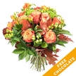 A vibrant, hand-tied autumn bouquet photographed against a crisp white background, the composition celebrating warm seasonal hues and refined florist technique. At the heart sit large, fully opened roses whose petals graduate from soft peach and apricot at their centers to deeper coral and russet at the outer edges, each bloom layered like silk. Scattered between the roses are sprays of bright orange and golden-yellow freesia, their slender stems and open faces bringing a light, airy rhythm to the arrangement. Deep, glossy green foliage - broad leaves and fine leafy sprigs - forms a lush, verdant cradle that offsets the warm tones and grounds the bouquet visually. Interwoven are several deep reddish-brown oak leaves whose lobed silhouettes read unmistakably of autumn, and small clusters of lime-green hypericum berries that pop against the darker greens with a lively, tactile texture. Delicate, tightly clustered bright green florets, reminiscent of Santini chrysanthemums, add a refreshing, textured counterpoint and extend the sense of depth. The stems are neatly trimmed and gathered at the base, tied in a rustic knot suggesting natural jute or raffia and the care of a hand-tied design ready for a vase. A bold diagonal orange banner with crisp white uppercase text reading FREE CHOCOLATE overlays the lower right corner of the image, clearly visible as a promotional callout without obscuring the flowers. The overall mood is warm, seasonal, and generous - a bouquet suitable for Thanksgiving tables, autumn birthdays, or bringing the glow of fall into a home in and around Epping.