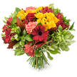 A hand-tied autumn bouquet presented against a clean white backdrop, the arrangement radiates warm harvest colours and tactile richness. At first glance deep crimson gerbera daisies draw the eye with their broad, velvety petals and dark centers, while clusters of intensely colored small red roses-some tightly furled, some opening into layered cups-bring classic depth and romance. Bright yellow spray chrysanthemums punctuate the design like small suns, their multi-petaled clusters adding cheerful contrast and delicate texture between the larger blooms. Soft coral-pink garden roses or blush roses breathe a gentle softness into the palette, bridging the vivid reds and yellows with a whisper of warmth. Slender orange-red alstroemeria, with their fine, often speckled petals, introduce a star-like intricacy that lifts the composition. A rich mix of foliage-glossy deep-green leaves, lighter variegated greens and airy filler-forms a lush backdrop, while several large reddish-brown and bronze-toned lobed leaves reminiscent of oak or maple are woven through the head of the bouquet to underline a seasonal, rustic mood. The stems are neatly gathered and visible at the base, a tidy bundle of fresh green stalks that speaks to a traditional hand-tied technique. Under soft, natural light the petals seem to glow, the whole bouquet offering a comforting, celebratory presence ideal for Thanksgiving, a harvest table, or as a warm welcome home. A local florist might imagine this arrangement sitting on an Epping High Street mantel or brightening a table near the lapping paths of Epping Forest, bringing the season indoors with honest, tactile beauty.