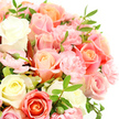 A richly detailed photograph captures a luxurious bouquet of pastel roses and carnations, arranged so tightly that the flowers form a soft, full dome of colour. The roses take centre stage, their petals spiralling layer upon layer from creamy white and pale ivory at the core to gentle shades of blush pink, warm peach, and delicate coral around the edges. Each bloom looks freshly opened, with a velvety texture that almost invites you to reach out and touch. Threaded between these larger roses are clusters of petite pink carnations, their frilled, lacy petals adding depth and a romantic, ruffled charm. Slender, deep green leaves and stems peek through the blossoms, providing a crisp contrast that keeps the arrangement lively rather than overly sweet. The entire bouquet is set against a flawless white background, so the focus remains firmly on the interplay of soft colours and subtle shadows across the petals, much like the gentle, filtered light you might see early in the morning along Epping's leafy streets. A few partially closed buds suggest new blooms ready to open, adding a sense of life and anticipation. The mood is tranquil yet quietly joyful, evoking emotions of love, gratitude, and tender remembrance. This is the kind of bouquet a local Epping florist might recommend for celebrating a new chapter, from a christening or engagement to a thoughtful get-well wish delivered to a neighbour. It feels timeless and versatile, the floral equivalent of a warm, sincere embrace.