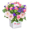 Gleaming beneath soft daylight, this striking bouquet brings a splash of Epping's countryside freshness right to your doorstep. Arranged in a sleek, modern white square pot, the composition features a blend of lush pink roses in varying stages-from tightly furled buds to opulent, full-blown blooms-paired with charming pastel pink Gerberas whose sunny, pale yellow centers create a welcoming focal point. Sprigs of deep purple limonium snake through the arrangement, their fine, feathery blossoms giving contrast and texture much like wild flora around the edges of Epping Forest. Dainty white filler flowers and leafy green foliage peek through, amplifying the bouquet's volume and lending a soft, untamed air reminiscent of local gardens in spring. The pot is finished with a playful red ladybird illustration and friendly green script that reflects the warmth of neighbourhood florists on Epping's High Street. Designed for heartfelt occasions-from cheerful birthdays to thoughtful thanks or simply to brighten a loved one's day-this floral arrangement stands as a fresh celebration of abundance, care, and floral artistry, ready for same-day delivery throughout the heart of Epping and its vibrant local communities.