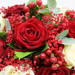 This close-up portrait of a red and white bouquet feels like a captured moment in a busy Epping florist's day, just before the arrangement is wrapped for delivery to a nearby home. At its centre is a sumptuous crimson rose, wide open and velvety, its petals curling in a perfect spiral that commands attention without a single harsh edge. Surrounding it are more dark red roses, some partially hidden, their overlapping petals creating a rich, almost tapestry-like depth of colour. Nestled between these bold blooms are creamy white roses, their smooth, pale petals offering gentle contrast, as if soft breaths of calm among waves of passion. Finely textured sprays of red Gypsophila scatter through the design like a dusting of tiny stars, transforming what could be a heavy palette into something airy and romantic. Interspersed clusters of round, glossy red Hypericum berries gleam like droplets of lacquer, introducing a playful yet elegant element that hints at celebration, from romantic gestures to seasonal gatherings in Epping's characterful homes. Fresh foliage, including round, silvery-green eucalyptus leaves and darker green backing leaves, cradles the flowers and berries, adding depth, structure, and the sense of a garden freshly gathered. The lighting is gentle and diffused, revealing every nuance of petal, berry, and leaf without stark shadow, so that the bouquet seems almost touchable. It's easy to imagine this design resting on a dining table in a house near Epping Forest or arriving as a same-day surprise for someone special, carrying with it the fragrance of roses and the quiet message of love, admiration, and enduring affection.