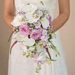In this intimate, eye-level photograph, the camera lingers on a bride holding a luxurious cascading wedding bouquet, the world behind her gently blurred into warm neutral tones reminiscent of a calm evening sky over Epping. Only her torso is visible, wrapped in an ivory lace gown whose delicate, vine-like pattern curls over her sleeves and bodice, echoing the organic curves of the flowers she supports. The bouquet forms an elegant teardrop, tumbling downward in a carefully composed flow of white, blush, lavender, and radiant fuchsia. Dominating the arrangement are pristine white Phalaenopsis orchids, each bloom broad and smooth, with petals that catch the light and reveal subtle yellow-gold centres, like tiny lanterns glowing within. Between these sculptural orchids, clusters of blush pink roses nestle closely, their tightly layered petals adding a plush, velvety texture and a classic, romantic feel well-loved by couples marrying in and around Epping. Slender spires of lavender stock thread through the bouquet, soft mauve blossoms creating a gentle haze and lending a sense of fresh spring air drifting in from nearby Epping Forest. Wisps of white baby's breath hover at the edges, creating a dreamy, cloud-like softness. From the heart of the bouquet, vivid fuchsia or magenta trails of amaranthus spill gracefully downward, introducing movement and a bold accent that draws the eye along the full length of the cascade. At the tapered tip, small orchid buds, dainty lavender flowers, and thin green stems emerge, suggesting both new beginnings and just-cut freshness. The photograph beautifully showcases an artful bridal design, the sort of bouquet chosen for heartfelt vows in Epping churches, barns, or elegant manor houses.