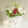A contemporary wedding bouquet in a white, lattice-style vessel radiates calm elegance, as though it has just been carried in from a refined celebration near Epping Forest. The vase itself is a sculptural element, its woven ceramic lines cradling a generous cluster of blooms. At the top, tall white lilies stretch upwards, some in tight, polished buds and others fully open, revealing wide petals and whisper-soft stamens dusted with pollen. Beneath them, deep ruby red roses anchor the design with warmth and intensity, the velvety texture of their petals catching the ambient light. Around the focal flowers, cushions of mossy green dianthus create a soft, textured base, their vivid hue reminiscent of the lush greenery along Bell Common after rainfall. Glossy red hypericum berries are tucked between the blooms like tiny jewels, adding playful accents that draw the eye deeper into the arrangement. Wisps of fine foliage spill outwards and upward, suggesting movement and breathing a garden-fresh life into the composition. Delicate gypsophila threads through the design, its tiny white blossoms echoing the purity of the lilies while lightening the overall look. The colour palette of ivory, crimson, and bright green feels timeless yet modern, perfect for a wedding table, a civil ceremony at a local Epping venue, or a meaningful gift delivered to families across Coopersale and Theydon Bois. The bouquet conveys balance and intention, speaking quietly of congratulations, remembrance, or heartfelt gratitude when words alone feel too small.