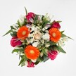 From the moment you lay eyes on this bouquet, you are greeted by a festival of colour and form-each blossom thoughtfully placed by a local Epping florist to express pure joy. The orange gerbera daisies radiate from the center like sunbeams, instantly lifting the mood, while deep cerise and magenta roses add layers of romantic depth around them. Creamy-white alstroemeria weave throughout the design, touched delicately at the tips, infusing the display with movement and soft light-just as early rays filter through Epping Forest foliage. At the heart, a single champagne-hued rose provides elegant stillness, drawing everything together. Soft clouds of tiny, white spray chrysanthemums fill the arrangement, complementing the bolder blooms, their texture light and airy. Abundant green leaves frame the composition, offering a natural, cooling contrast and grounding the whole piece. Presented on a pure white background and illuminated by gentle, even light, the bouquet feels inviting, honest, and timeless-a classic choice for birthdays, well-wishes, or simply bringing a piece of Epping's floral artistry indoors, available for prompt local delivery around High Street and the surrounding community.