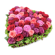 A richly textured heart-shaped floral tribute captured from a slight overhead angle, set crisply against a pure white background so every petal and leaf reads clearly. At the centre, dozens of garden roses are packed into a dense, sculpted mosaic: deep velvety crimsons and wine-coloured burgundies sit beside soft blush pinks, brighter fuchsias and a few dusky purplish-magenta blooms, their petals alternating from tightly furled buds to gently unfolding ruffles. The flowers form a smooth, rounded surface that invites touch; you can almost sense the velvet of each rose and the faint, classic fragrance that drifts from the cluster. Encircling the heart is a narrow, lush fringe of fine deep green foliage-feathery, slightly textured leaves that define the silhouette and lend a natural, living frame. Tiny dark red berries or minuscule burgundy spray blooms are interspersed within that green border, catching the eye and adding subtle depth and contrast. The arrangement is lit with bright, even light that brings out the saturation of the reds and the cool undertones of the mauves, while the white backdrop amplifies the emotional intensity of the colours. As a florist reflecting on this piece, I imagine it both as a romantic declaration and as a dignified memorial: suited for anniversaries, Valentine's remembrances, or a heartfelt tribute at a funeral. Designed with careful symmetry and abundance, the heart reads as an emblem of devotion, comfort and memory-an eloquent floral message that would feel at home on a mantel in Epping or as a centrepiece at a gentle celebration of life in the town's quieter chapels.