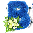 In this photograph, a striking floral tribute forms a large capital B, created from a dense mass of royal blue chrysanthemums that almost seem to glow against a clean white background. Each chrysanthemum is carefully positioned so that the petals overlap and interlock, creating a richly textured surface that looks plush and full, with soft variations of blue adding depth and visual interest. A delicate frill of white satin ribbon outlines both the outer edges and the internal curves of the B, giving definition to the letter and providing a crisp, luminous contrast to the deep blue blooms. Anchored to the lower left section of the letter is a smaller focal cluster, where creamy white roses and petite white spray chrysanthemums gather together. The roses range from tight buds to gently opening flowers, their layered petals forming elegant spirals with a subtle ivory tint toward the centre. The spray chrysanthemums, reminiscent of tiny daisies, tuck in between the roses, bringing a light, airy feel. This cluster is framed by lush, varied greenery-slender ferns, glossy leaves and a few slightly variegated stems-spilling naturally beyond the edge of the blue flowers, softening the overall outline. The arrangement has a stately yet tender presence, ideally suited as a personalised funeral flower letter for services in and around Epping, perhaps for a farewell held near Epping Forest or in one of the town's quiet churches. Emotionally, it balances the formality of a bold initial with the intimacy of soft white blooms and fresh foliage, offering a gentle expression of sympathy, remembrance and respect.