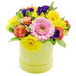 An Easter hatbox arrangement brimming with spring flowers is shown against a pure white background, the crisp setting making every colour and petal detail feel vivid and freshly arranged, much like a bouquet just prepared in an Epping town centre shop. The blooms form a rounded, dome-shaped cluster, tightly composed so that no space feels empty. At the forefront, a single large pink Gerbera daisy draws immediate attention, its soft, velvety petals neatly layered around a pale green centre, giving the impression of a friendly, open face. Surrounding it are bursts of sunny yellow chrysanthemums, their slim petals radiating outward like tiny rays, adding an uplifting, almost playful brightness. Between these, coral-orange carnations offer billowy, ruffled blossoms, their overlapping petals creating rich texture and comforting fullness, softening the transitions from one colour to the next. Threaded throughout, deep violet-purple lisianthus blooms appear in smaller pockets, their slightly cupped petals and saturated hue lending elegance and a sense of depth, as if you could peer into the bouquet and keep discovering new details. Fresh green foliage frames the flowers, some leaves a simple, vibrant green, others outlined with pale, variegated edges that introduce subtle pattern and balance. All of this floral abundance emerges from a cylindrical pastel lime hatbox in a soft yellow-green shade, its surface decorated with scattered pastel Easter eggs in pale blue, soft pink, and white, some accented with delicate dots or stripes. The container adds a playful, seasonal note, calling to mind Easter egg hunts and family gatherings in and around Epping. This arrangement feels joyful and welcoming, ideal as a springtime gift, a cheerful centrepiece at the dining table, or a decorative accent that celebrates the gentle return of warmer days.