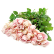 A bountiful spray of pale blush roses stretches across a stark white background, the blooms nestled closely together so their silken petals almost touch. Around two dozen roses form this tender display, their colours shifting subtly from soft shell pink at the centres to creamy, almost champagne tones at the petal edges, with whispers of dusty rose and lavender in the gentle shadows. Each flower appears meticulously chosen, from the tighter buds that promise future unfolding to the more open roses that reveal a graceful spiral at the heart, like quiet symbols of enduring love. The petals look velvety and light, catching the soft illumination in a way that makes them appear both fragile and strong. Underneath, a line of rich, dark green foliage and straight stems provides a vivid contrast, echoing the natural greenery found around Epping's lanes and the edges of Epping Forest. The uncomplicated white setting keeps every detail focused on the roses themselves, creating a feeling of peace, reflection, and understated elegance. This arrangement would be perfectly at home as a sympathy bouquet delivered to a residence near Epping High Street or a service held at a local church, offering gentle solace where it is needed most. The composition captures the quiet strength our local Epping florists bring to condolence flowers-an image of support, remembrance, and tenderness for families facing loss.