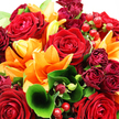 A richly coloured bouquet of red roses and orange lilies fills the scene from edge to edge, captured in bright, flattering light that makes every hue stand out, as if it has just been arranged in an Epping High Street workshop. At the centre, classic red roses open fully, their many velvety petals layered in tight spirals that suggest depth, passion, and time-honoured romance. The roses are flanked by large orange lilies, each bloom stretching out with wide, satiny petals, some gently curling back at the tips, giving the arrangement a sense of openness and joyful movement, like warm evening light over nearby Epping Forest. Clusters of darker burgundy roses and tidy rosebuds nestle between the main flowers, creating rich shadows and subtle variations in tone that add a feeling of abundance. Lush greenery surrounds and supports the blooms: broad, glossy leaves cup the flowers protectively, while finer leafy stems thread through the design, adding texture and a natural, hand-gathered charm you might associate with a trusted local florist. One prominent leaf curves gracefully forward in the foreground, almost like a ribbon of green drawing attention towards the heart of the bouquet. Dotted among the petals, small clusters of ruby-red hypericum berries shine with a polished, bead-like finish, echoing the roses' colour and introducing a playful, tactile detail. The overall effect is dense, luxurious, and full of life, an arrangement that feels both celebratory and intimate-perfect for anniversaries, engagements, or heartfelt thank-you gestures delivered across Epping, Coopersale, and the quiet residential streets that wind away from the busy High Street.