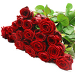 A sweeping cascade of luxurious red roses lies horizontally across a brilliant white surface, the arrangement captured in a close-up that showcases every velvety detail. Around two to three dozen long-stemmed roses are positioned side by side, their blooms overlapping in a lush, continuous band of crimson, like a ribbon of passion unrolling across a florist's table in the heart of Epping. Each rose reveals elegant, tightly layered petals, some fully open to display complex whorls, others more compact and bud-like, hinting at the promise of tomorrow's bloom. The red tones range from bright, glowing highlights at the outer petals to deep, wine-dark shadows near the centre, giving the flowers a sense of luxurious depth. Concentrated toward the top right corner, the dark green stems and abundant leaves form a dense, supportive base, while scattered foliage threads through the blossoms and breaks up the expanse of red with flashes of rich green. The leaves appear robust and healthy, with a satin sheen that reflects the soft, even lighting. The crisp white background removes any distraction, making it easy to imagine these roses as the focal point of a romantic evening at home near Epping Forest or a milestone celebration in a Bell Common townhouse. There is an almost tangible sense of perfume-the classic, gently spicy aroma associated with red roses-suggesting warmth and intimacy. This is a bouquet that visually speaks of grand romantic gestures, heartfelt apologies, and deeply felt admiration, all brought to life by a skilled local florist who understands how to let beautiful roses tell a story on their own.