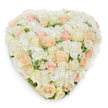 Seen from directly above against a pure white background, this heart-shaped floral tribute is a study in gentle refinement: densely arranged white and cream roses mingle with pillowy clusters of pristine white hydrangea to form a seamless, cloud-like surface. Soft blush and pale peach roses are tucked throughout the composition-some petals unfurled, others tight as a promise-creating a slow, peaceful gradient from creamy ivory to warm pastel pink. Deep green variegated foliage peeks through in slim, deliberate hints at the lower edge and between blooms, giving the piece a natural frame and subtle contrast without disturbing the heart's silhouette. The texture reads as velvety and almost tactile; the hydrangea adds cushion while the roses contribute sculpted form and a soft, familiar rose fragrance that suggests freshly cut stems and cool morning air. A delicate shadow beneath the arrangement reinforces its three-dimensional craftsmanship and the careful shaping by an experienced hand. The mood is one of quiet tenderness and dignified comfort-suitable as a wedding or anniversary emblem of devotion, but equally apt as a sympathetic tribute for memorial services where the palette conveys serenity and remembrance. The overall impression is handcrafted elegance, a premium fresh-cut design made to comfort or celebrate, with a timeless heart shape that speaks of enduring affection and gentle regard.