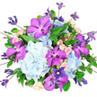 A lavish mixed bouquet is captured against a bright white backdrop, making every colour and detail appear crisp and luminous. At its core, substantial heads of cool, celestial-blue hydrangeas form a generous, cloud-like cushion, their many tiny petals overlapping to create a soft, billowing effect that feels calming and expansive, much like the broad skies above the fields surrounding Epping. Breaking through this serene base, bold Vanda orchids in vivid purple take centre stage, their wide, velvety petals covered in intricate speckled patterns of darker plum that lend an unmistakable air of exotic sophistication. Nestled thoughtfully throughout, clusters of peachy-blush and cream spray roses offer a gentle contrast, their small buds and partially opened blooms adding intimacy and romance, reminiscent of the secret gardens tucked behind period homes near Epping station. Slender clematis vines snake delicately through the arrangement, carrying star-shaped flowers and tight buds in tones of indigo and lavender, giving the bouquet a sense of upward movement and a slightly untamed charm. Framing all the blooms, rich green foliage spills outward, with glossy leaves and fine stems adding depth, contrast, and a fresh-from-the-garden vibrancy. The lighting is soft yet clear, revealing the velvety orchids, the almost papery texture of the hydrangeas, and the layered petals of each rose without casting distracting shadows. The composition feels both celebratory and refined, a slightly overflowing, rounded design that suggests generosity and heartfelt thought. It would sit beautifully on a dining table overlooking Epping High Street or arrive as a memorable birthday or anniversary surprise with local flower delivery in and around Epping.