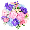 Photographed against a clean, white background, this lavish bouquet forms a perfectly rounded dome, overflowing with texture and colour that immediately suggests a special occasion. At its heart are luscious pastel pink peonies, their petals layered in soft, billowing ruffles that evoke romance and gentle affection. Surrounding them, full clusters of sky blue hydrangeas offer a serene, cooling presence, their many small florets catching subtle highlights and recalling the calm of a clear day above Epping's open green spaces. Scattered throughout the design are dramatic fuchsia-purple Vanda orchids, their intricate, speckled petals lending an exotic, high-end touch that contrasts beautifully with the softness of the peonies and hydrangeas. Slender coral pink calla lilies arc elegantly through the bouquet, their smooth, trumpet shapes adding rhythm and a modern, sculptural line that keeps the arrangement visually dynamic. Tiny light pink and creamy white spray roses tuck into the spaces between larger blooms, adding delicate buds and partially open flowers that speak of new beginnings and timeless romance. Around the outer edges, silvery-green dusty miller mingles with deeper green foliage, softening the outline and grounding the vivid palette, much like the cool shade beneath the trees near Epping Forest. The bouquet in this image feels rich yet balanced, ideal for celebrating a milestone birthday, enhancing a chic dinner party at a home off Epping High Street, or serving as a luxurious wedding bouquet. It carries a mood of elegance, gratitude, and quiet joy, as if each petal were chosen to express something heartfelt without the need for words.