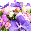 A lavish pink and purple bouquet fills the frame, photographed cleanly against a bright white background that showcases every detail as though it were resting on a florist's counter near Epping Station. At the forefront, magnificent Vanda orchids in rich shades of lavender and deep amethyst display their signature netted veining, each broad petal appearing almost luminous and velvety. Nestled warmly around them are generous peonies, fully open and layered with ruffled petals that transition from whisper-soft blush to deeper rose tones, creating a gentle, romantic glow. Interwoven with these are classic pink roses at different moments of their bloom-some shy buds with tightly wrapped petals, others fully unfurled into delicate, spiralling rosettes that suggest affection and devotion. Between the larger flowers, numerous small white chrysanthemum-style pom-pom blossoms peek out, their crisp, spiky petals adding lightness and playful contrast, like flecks of sunshine over the greenery of Stonards Hill recreation ground. A lush base of glossy green foliage, including a few variegated leaves with lighter edges, cradles the blossoms and adds natural depth, giving the impression of a freshly gathered garden bouquet. The lighting is clear and even, highlighting the rich colour saturation of the orchids, the soft, cloud-like quality of the peonies, and the silky texture of the roses. Altogether, this arrangement feels luxurious yet comforting, an ideal floral gift to celebrate milestones, express deep gratitude, or simply bring a moment of beauty into a home in Epping or the nearby countryside.