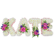 A tender, freestanding floral tribute that spells the name 'KATE' in four upright, three-dimensional letters, photographed against a clear white background. Each letter - K, A, T and E - is lovingly built from a dense carpet of pristine white chrysanthemums, their soft, feathery petals creating a plush, snow-white surface that reads both pure and consoling. Pale pink satin ribbon traces the outer and inner edges of every letter, laying a soft, luminous blush around the white blooms and gently defining each shape. Clusters of accent flowers punctuate the composition: velvety fuchsia-pink roses and smaller pastel pink spray roses provide warmth and affection, while deep purple or blue sprigs-likely statice or petite lisianthus-add quiet depth and a cool contrast. Greenery such as delicate fern fronds and smooth eucalyptus leaves fans around each cluster, lending both texture and a fresh, herbaceous scent suggestion. The placement is thoughtful and intentional-on the 'K' a bold cluster sits along the diagonal stroke, the 'A' bears a spray near its lower right curve, the 'T' shows a bloom cluster toward its base, and the 'E' carries two groupings on the middle bar and lower section-creating a balanced flow across the name. Soft, even lighting highlights the chrysanthemum texture without harsh shadows, giving the piece a serene, memorial mood. This bespoke arrangement reads as a personal sympathy tribute, suitable for a funeral, celebration of life, or graveside service, offering a visual language of remembrance and gentle comfort to family and friends in and around Epping and nearby woodland communities.