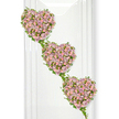 Three cascading hearts made entirely of roses form the focus of this tender funeral tribute, set against a clean white background that lets every soft colour and curve be clearly seen. Each heart is filled edge-to-edge with miniature roses in shades of dusty lavender, muted mauve, and pale pastel pink, so close together that they create an almost quilted effect of overlapping petals. The blooms look freshly opened, some still cupped and others fully unfurled, lending a sense of gentle movement and life. Arranged diagonally from upper left to lower right, the hearts seem to drift downward like a flowing line of memories. Delicate strands of green ivy lace around them, tracing the outer shapes and linking one heart to the next in graceful arcs. The ivy's glossy leaves and fine stems provide a natural contrast to the softness of the roses, evoking the calm greenery found in gardens and woodland edges around Epping. Soft, even lighting brings out subtle highlights on the petals and a gentle sheen on the foliage, while faint vertical reflections in the otherwise white background suggest a modern, polished space such as a chapel or funeral parlour. The atmosphere is serene and reflective, with the three hearts suggesting enduring love, close family ties, or generations held together in memory. Crafted with the attention to detail you would expect from a local Epping florist, this arrangement feels like a quiet promise that love continues, making it a comforting choice for services where words may be hard to find but flowers can speak with kindness.