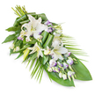 A sophisticated sympathy spray in soft white and verdant green is arranged in a flowing diagonal line, photographed against a clean white background so every detail of the floristry is clearly defined. The arrangement features several striking white lilies, their trumpet-shaped blooms opening in layered petals that curl back as if in a silent gesture of farewell. Some lilies show their pale yellow stamens, while others remain as sleek, elongated buds, adding both height and a sense of unfolding time. Nestled among these main blooms are clusters of lisianthus (Eustoma) flowers in white, each small, bell-like blossom brushed along the edges with a light lavender or lilac tone that lends delicate contrast without disturbing the overall serenity. Numerous lisianthus buds, still tightly closed, dot the design and introduce gentle rhythm. The spray is fuller and rounded where the stems meet at the upper left, then gradually narrows into a slim, tapering point at the lower right, creating a classic teardrop silhouette that many families in Epping favour for casket tributes or to rest beside a photograph at a memorial. Lush foliage forms a deep green foundation: broad, glossy leaves provide structure and a calm, sheltering backdrop, while slim, palm-like fronds radiate outward, especially from the right side, giving the arrangement a slight sense of outward reach and release. Some leaves are carefully rolled and manipulated into contemporary shapes, showcasing the skill of the florist. The overall impression is quietly graceful and composed, making this floral piece a fitting choice for funerals, remembrance services, or condolence gestures throughout Epping and nearby villages.