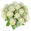 A vision of pure tranquility: this hand-tied bouquet is built from roughly two dozen freshly opened white roses interspersed with airy clouds of baby's breath (Gypsophila), photographed against a clean, brilliant white background that highlights every creamy nuance. Each rose displays a silky spiral centre, inner petals soft and ivory-tinged, gently unfurling into broader, crisp white outer petals that catch the light with a subtle translucence. The tiny, star-like buds of gypsophila weave like fine lace through the arrangement, lending a misty, weightless texture that contrasts with the roses' velvety heft. Deep green, glossy leaves peek beneath the blooms, their cool tones framing the bouquet and giving structure to the full, dome-shaped silhouette created by dense, even placement of stems. The composition reads classic and serene-the scent is a faint, clean sweetness that suggests early summer mornings and quiet, respectful moments. This design was composed with an experienced floral eye: balanced, restrained, and deliberately calming, suitable for a wedding morning, a christening, or a sympathetic tribute when words are small and feeling must speak. Placed on a white linen surface or carried down an aisle, the bouquet's purity reads as both celebration and solace. The overall effect is one of refined beauty and composure, every element chosen to convey reverence, new beginnings, and the gentle promise of hope in a time of ceremony or remembrance within the familiarity of a local Epping celebration or quiet home setting.