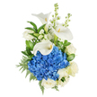 A portrait of serene elegance: a vertical, hand-tied bouquet set against a clean white backdrop, where cool blue and soft white blooms speak with quiet confidence. At the centre sits a dense dome of deep blue hydrangea, hundreds of tiny florets packed together to create a plush, velvety core that draws the eye like a calm pool. From just above and around this blue heart three sculptural white calla lilies rise, their trumpet-shaped silhouettes graceful and almost architectural, each smooth petal curving inward to reveal a pale yellow spadix. Creamy white roses are tucked throughout, their layered petals unfurling with classic softness that tempers the hydrangea's boldness. Slim spikes of white stock lend vertical lift and an airy, peppered texture with clusters of small blossoms climbing the stems. The bouquet is grounded by rich, glossy green leaves and feathery leatherleaf fern that weave fine texture and a deep contrast of colour, giving the arrangement depth and movement. Soft, natural light bathes the composition, letting the whites glow with warm clarity while the blues remain crisp and vivid; the overall scent is a delicate, fresh sweetness rather than overpowering. This arrangement reads as both contemporary and timeless-suitable for comforting sympathy, marking an important anniversary, or offering sincere admiration. A florist's hand is evident in the balanced proportions and thoughtful spacing: nothing feels crowded, every bloom has room to breathe. Offered with care to clients across Epping and nearby neighbourhoods, this bouquet carries a message of peace, dignity, and refined affection that lingers long after the first glimpse.
