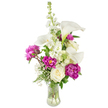 A freshly assembled vase arrangement that reads like a small celebration: white calla lilies arch upward with sculptural poise, their smooth trumpet-shaped blossoms and pale yellow spadices catching soft morning light against a neutral backdrop. Around them, voluptuous magenta peonies unfurl in luxurious ruffles - two fully open flowers sit lower in the composition, their rich fuchsia layers offering a dramatic contrast to the callas' clean lines, while a tighter peony bud on a slender stem promises another bloom soon. A single creamy white rose nestles near the base, its tightly spiralled petals offering a classic, quiet centre that calms the vivacity above. A tall spire of white stock (and a suggestion of larkspur-like stems) rises behind the focal blooms, its clustered florets providing vertical rhythm and a soft, pillowy texture. Wisps of baby's breath are woven through the bouquet like a sheer veil, scattering tiny white points that lift the arrangement and add an airy, romantic whisper. Lush greenery - a mix of ferny fronds and broader vibrant leaves - forms a verdant backdrop, framing each bloom and giving the whole piece a natural, garden-fresh depth. The clear, gently curved glass vase is filled with water and reveals the interlaced stems, grounding the display in honest florist craft. The scent shifts from the callas' cool subtlety to the honeyed richness of peonies, creating an inviting, celebratory fragrance. Perfect for birthdays, anniversaries, or a heartfelt congratulations, this bouquet feels both modern and timeless, suited to a special table at home or as a refined focal piece for an intimate event in and around Epping.