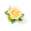 A single, artfully fashioned boutonniere or small wrist corsage sits against a clean white backdrop, the bright studio light catching every delicate texture. At its centre is a soft peach rose - petals layered like fragile silk in a pale apricot-tinged wash, the innermost curls carrying a slightly deeper hue. Below and just to the left a lime-green button chrysanthemum punctuates the composition with its tightly clustered, pom-pom florets, lending a lively, moss-like texture that contrasts beautifully with the rose's satin softness. Deep green ruscus leaves form a supportive halo, their glossy surfaces absorbing the light and grounding the piece, while slender variegated leaves, streaked with paler stripes and gently curled, arch around the bloom to create movement and a designer's touch. From the lower right a small strand of lustrous white faux pearls cascades like a whispered accent, reflecting the soft highlights and invoking classic elegance without overshadowing the flowers. The whole arrangement reads as an intimate, formal accessory - suitable for a wedding at a local parish, prom night, or an anniversary celebration - and the scent can almost be imagined: a faint, sweet rose perfume mingling with the green, herbaceous notes of fresh foliage. A skilled local florist would note the bright, even lighting and pristine presentation that emphasises freshness and fine detail. For clients in and around Epping - whether planning a ceremony near Epping High Street or a reception close to the edge of Epping Forest - this piece offers a quiet, refined statement of celebration and timeless taste.