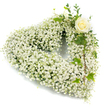A serene heart-shaped wreath assembled almost entirely from a dense, cloud-like mass of tiny white Baby's Breath (Gypsophila), each minute blossom tightly clustered to create a soft, ethereal texture that reads like fresh snow across the silhouette of the heart. The composition is dominated by pure white tones, with the airy froth of the gypsophila forming every curve and contour so that the shape feels weightless and gently suspended. Toward the upper right curve a single creamy-white rose is tucked in, its petals still softly unfurling in a classic spiral that becomes the quiet focal point; the rose's ivory warmth gives the design a gentle centre of attention without disturbing the overall stillness. Interlaced with the blooms are slender sprigs of cool, eucalyptus-like foliage and a few variegated ivy leaves with glossy, lobed edges that trail delicately down the right-hand side, adding depth, a touch of green relief, and subtle movement to the arrangement. The piece sits against a clean white background so shadows fall lightly and the tactile quality of the tiny blooms is easy to read: the scent would be faint and powdery, the texture feather-soft beneath the fingertips. This is a classic sympathy tribute, made to convey purity, comfort, and respectful remembrance-suitable for funeral services or a quiet commemoration. As a florist who often prepares tributes for families gathering near Epping Forest and along Epping High Street, I choose these materials to offer solace through simplicity and honest, handcrafted care.