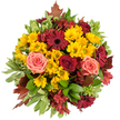 Viewed as a generous, circular hand-tied bouquet, this autumnal arrangement radiates warmth and seasonal charm. At its heart, clusters of bright golden-yellow button chrysanthemums create a sunny, textured carpet; their tiny, rounded petals catch the light and lend a cheerful, tactile resilience. Nestled among them are deep burgundy gerbera daisies, their flat, open faces and darker centers offering bold punctuation and a dramatic sense of depth. Scattered through the design are luxurious roses in velvety crimson and softer coral-pink to peach tones, each unfurling petal adding a romantic, tactile softness that invites a gentle touch. Small, star-shaped alstroemeria (Peruvian lilies) in cranberry and reddish-brown hues fill the spaces between larger blooms, weaving fine, delicate lines that enrich the eye with layered detail. The bouquet is framed by varied greenery: broad glossy leaves that provide a cool backdrop, and variegated light-green foliage edged with creamy margins that brighten the composition. Autumnal, reddish-brown maple- or oak-like leaves peek out at the edges, immediately anchoring the piece in harvest season and lending a rustic, woodland note. The scent is subtle and pleasing-faintly sweet with green, leafy undertones-evoking an early morning stroll through Epping Forest when the air is crisp and sunlit. This arrangement feels equally at home as a Thanksgiving centrepiece on a High Street table or as a thoughtful birthday gift delivered across Epping; its colours, textures, and expert placement speak of comfort, gratitude, and seasonal abundance, crafted by a florist who understands how flowers can tell a local story.
