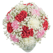 A radiant, full-bodied bouquet bursts with Epping-inspired elegance, blending deep red, pastel pink, and pure white carnations into a luxuriant dome of texture and colour. The skillful hand of a local florist is evident in each perfectly positioned carnation-their petals ruffled, soft, and inviting to the touch, like the velvety blooms that line the gardens between Hemnall Street and the High Road. Wisps of tiny white Baby's Breath peek out, adding an airy softness that frames the denser central blossoms in a gentle mist. This artful combination creates the feeling of a tender embrace on a joyous occasion or a bright surprise just delivered across Epping's leafy avenues. Cradled within a clear glass vase, its rounded base grounding the display, the bouquet stands proud against a white background that lets each colour and texture shine. The aroma is fresh, subtly sweet-a gentle reminder of blossoming spring meadows. Designed for celebrations both grand and intimate, this arrangement brings a sense of warmth and community spirit, ideal for birthdays, anniversaries, or simply lifting someone's spirits in Epping's cherished neighbourhoods.