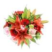 Seen against a crisp white backdrop and viewed slightly from above, this dense hand-tied bouquet feels like a small celebration of colour and texture. At the centre, several large Asiatic lilies in a fiery orange-red sweep outward with recurved petals and subtle dark speckling; a few unopened buds promise more blooms to come, while the prominent stamens and dark anthers add sculptural contrast. Deep crimson Gerbera daisies punctuate the composition with flat, radiating petals and moody, nearly black centres that draw the eye inward, while blush pink roses-some tightly furled, others unfurling in soft spirals-lend a gentle, romantic counterpoint. Small clusters of glossy red hypericum berries sit like bright jewels among the petals, their smooth skins catching pinpoints of light. The bouquet is lavishly filled with varied greenery: broad, glossy leaves which act as a deep green backdrop, and a few variegated leaves threaded through to add lightness and movement. The textures are tactile and varied-silky rose curves, papery lily blooms, waxy berries and crisp foliage-so even without seeing it you can imagine the coolness of the stems and the faint sweet-spicy scent of lilies and roses. The overall silhouette is rounded and full, a carefully balanced study in warm tones of orange, red and blush set against lush greens. This arrangement evokes warmth, celebration and considered craftsmanship-perfect for birthdays, anniversaries, or to brighten a living room mantle-rooted in the urban-rural edge of Epping and the calm of nearby Epping Forest.