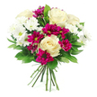 Photographed alone against a crisp white background, this rounded bouquet appears luminous and inviting, its colours and textures carefully balanced by an experienced Epping florist. At the centre, several creamy white roses have opened fully, their petals softly layered in spirals that create a gentle, rose-shaped dome. The cream tone is subtly warm, and the smooth, velvety surface of each petal lends the arrangement a feeling of classic romance and quiet luxury. Interspersed among the roses are clusters of white spray chrysanthemums, their slender petals radiating from pale green centres to form small, star-like blooms that add lightness and delicacy. Threaded through this soft, pale canvas are multiple heads of magenta and fuchsia spray chrysanthemums, providing a vivid burst of colour. These richly coloured mums have rounded, slightly ruffled faces, giving the bouquet lively pops of intensity that feel cheerful and contemporary, much like the vibrant displays you might see along Epping High Street or in local garden plots. All of the blooms are cradled by a frame of glossy dark green foliage, likely Ruscus or Salal, whose broad, smooth leaves give the design structure and a natural, grounded feel. The leaves overlap and tilt at gentle angles, creating a sense of movement without disturbing the bouquet's overall harmony. The stems are gathered neatly and tied at the base, suggesting a hand-tied arrangement ready to be slipped into a simple vase on a table in a home near Bell Common or delivered as a thoughtful surprise across the local area. Together, the interplay of creamy white, crisp green, and vibrant magenta conveys warmth, celebration, and sincere affection, making this bouquet ideal for birthdays, thank-you messages, or simply brightening a quiet corner with fresh floral energy.