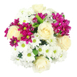 Viewed from directly above against a spotless white background, this lush, circular bouquet looks as though it has been carefully composed petal by petal. Plush cream-white roses, with their elegantly spiralled centres and velvety texture, serve as the main focal points, scattered evenly through the design to create a harmonious rhythm. Nestled closely around them are clusters of neat, white chrysanthemums, each bloom daisy-like and airy, their petals radiating around lively yellow-green centres that brighten the entire arrangement. Interwoven between these softer tones, vivid fuchsia and magenta spray chrysanthemums add electric splashes of colour, some blossoms fully opened with many fine petals, others still in rounded buds promising future vibrancy. Small hints of deep green foliage peek through the profusion of flowers, providing structure and depth without overwhelming the palette. The lighting is bright yet gentle, much like daylight pouring into a kitchen overlooking the green edges of Epping, allowing the bouquet's textures and tones to appear crisp and true. The composition feels modern and polished, yet also warm and inviting, as if it could arrive at a doorstep in Ivy Chimneys as a spontaneous 'just because' gesture or take pride of place on a dining table for a quiet family celebration. This bouquet expresses a blend of joy, gratitude, and affection-ideal for marking birthdays, saying thank you, or simply bringing a touch of colour and comfort to everyday life around Epping.